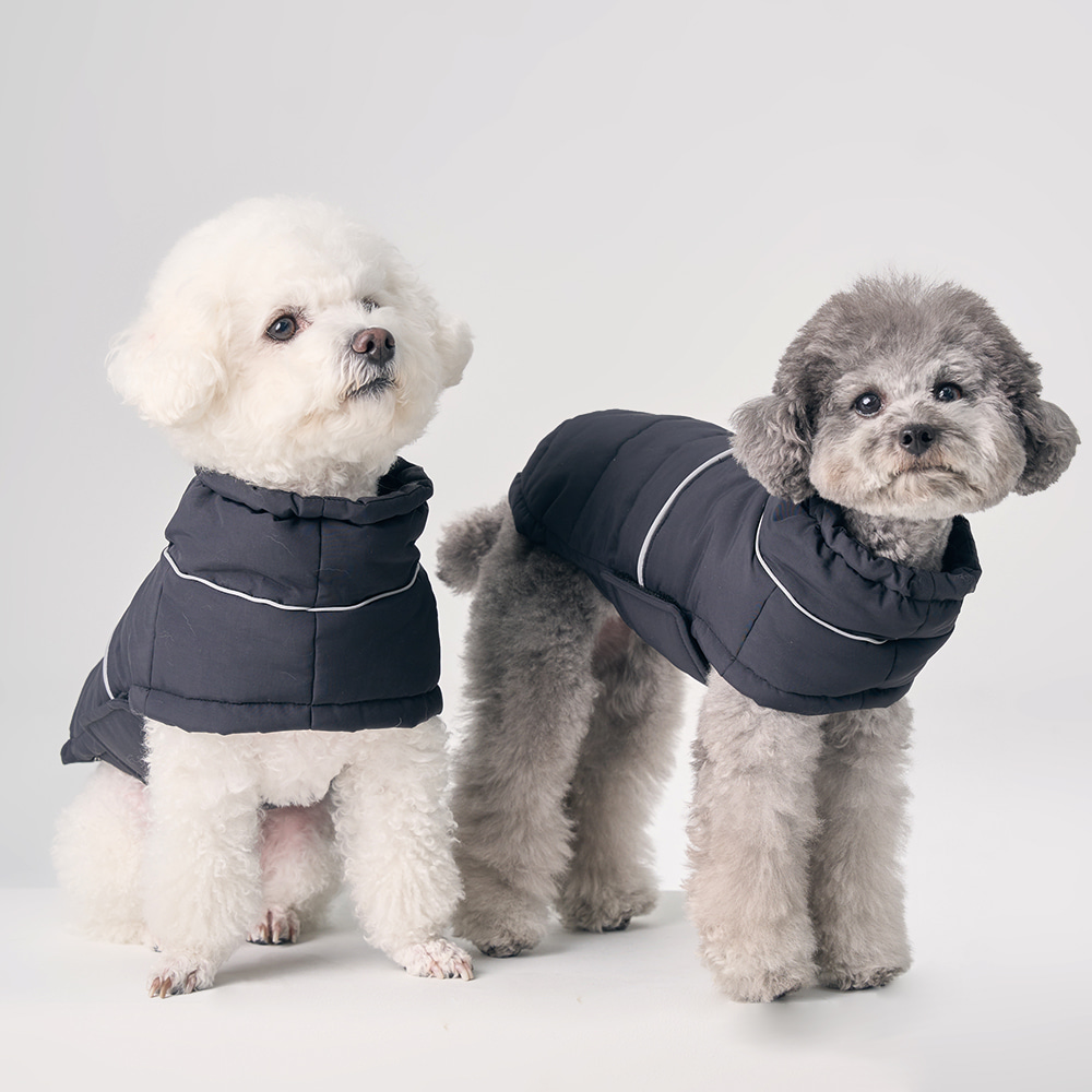 강아지 그룹 이미지