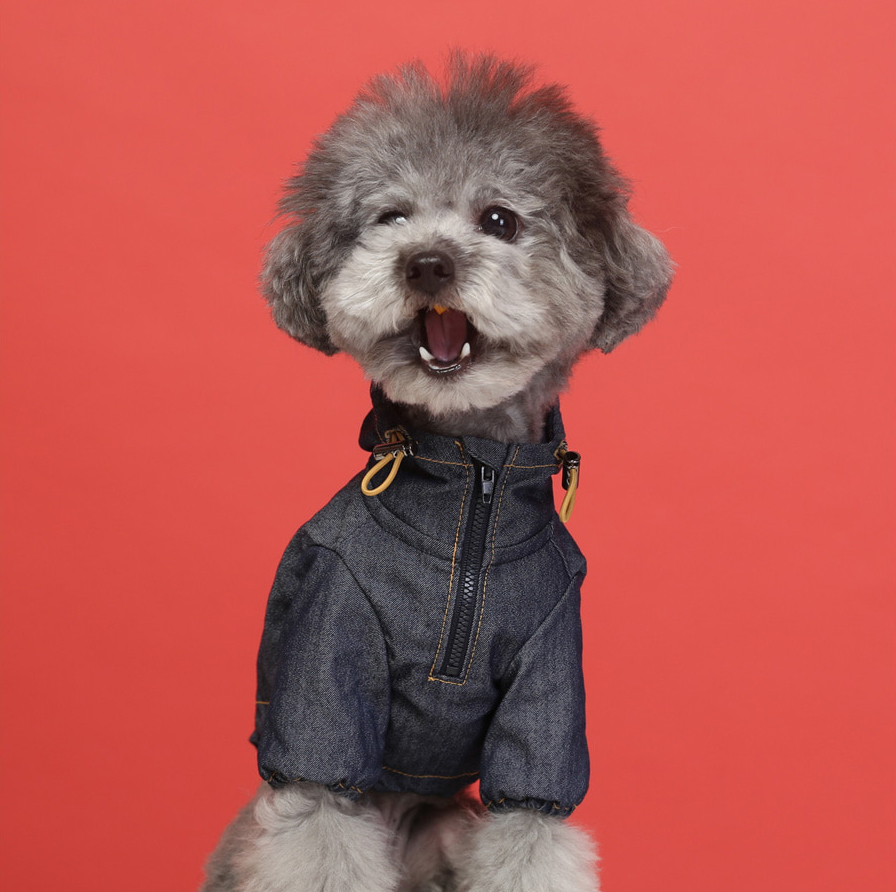 강아지 그룹 서브 이미지1