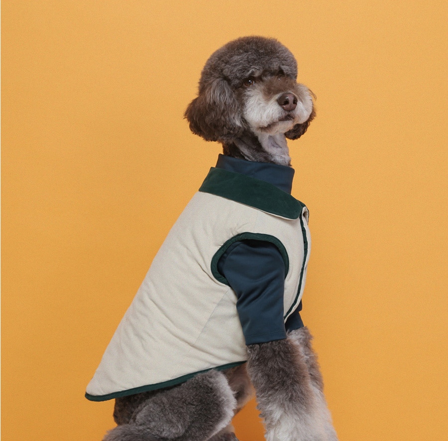 강아지 그룹 서브 이미지1