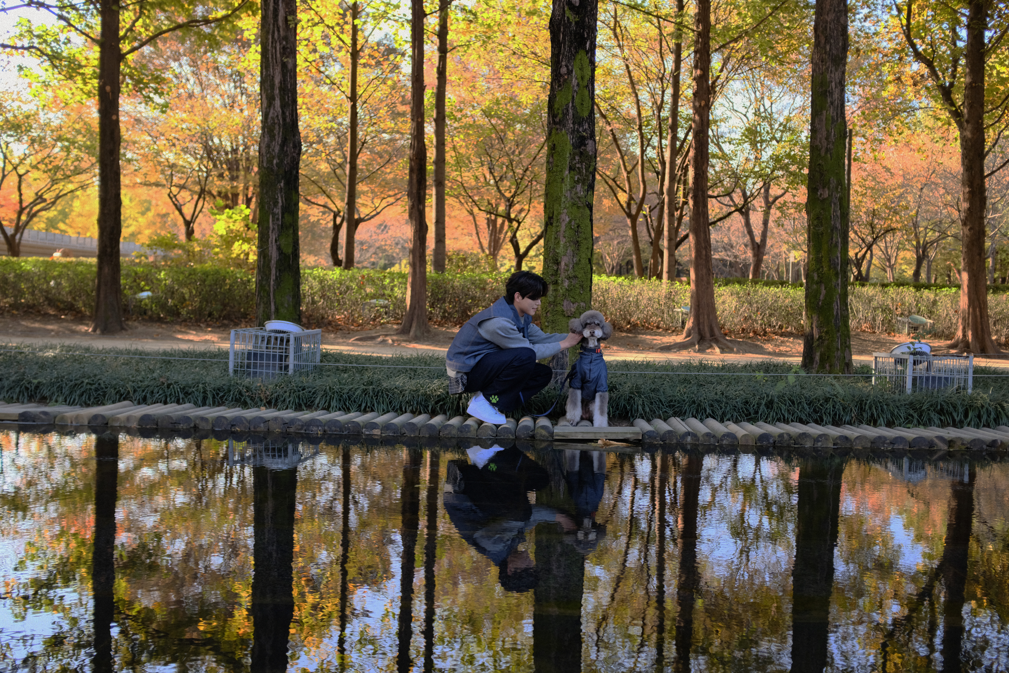 하이파이브 X 왈라랜드