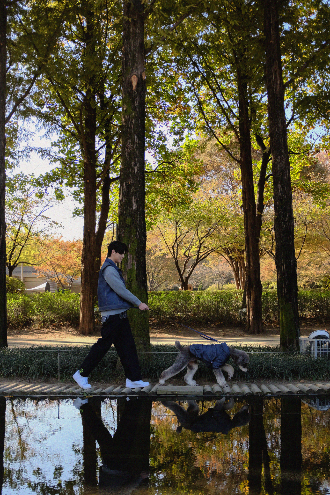 강아지와 함께있는 남자2