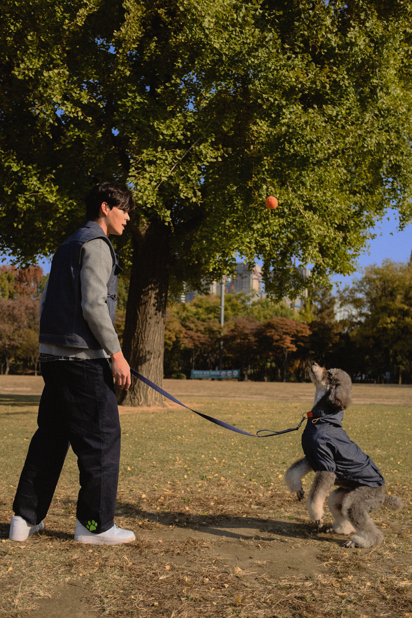 강아지와 함께있는 남자6