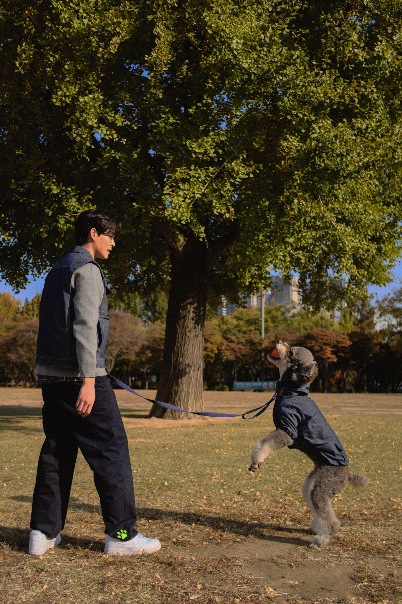 강아지와 함께있는 남자6