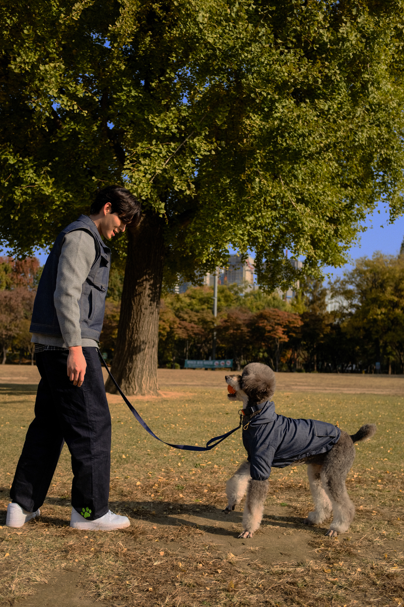강아지와 함께있는 남자6