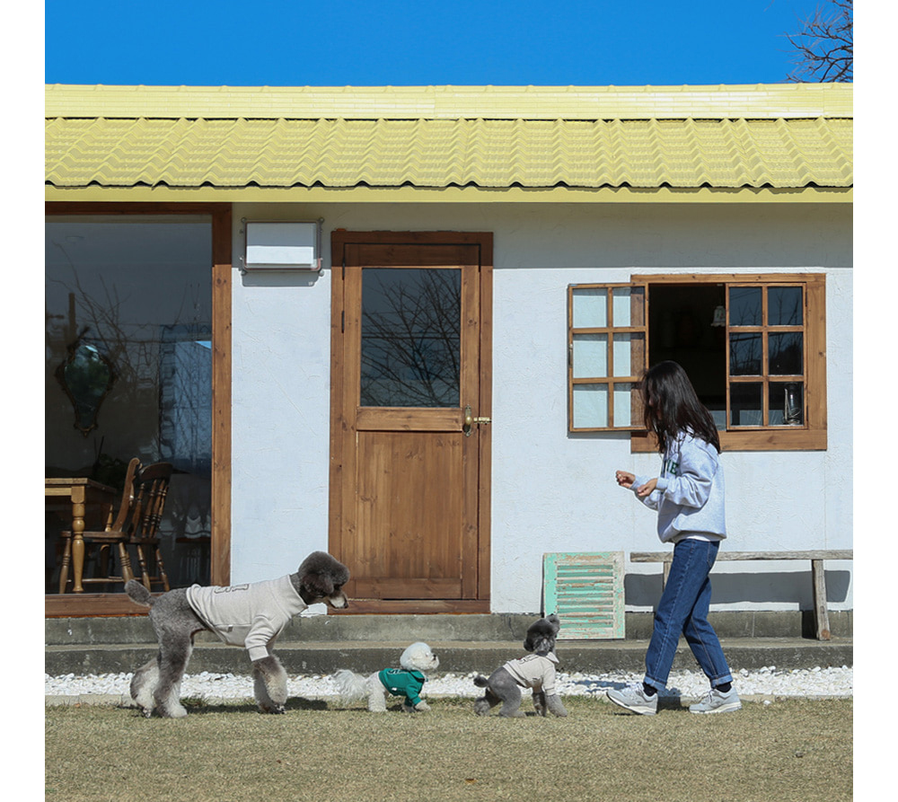 강아지와 함께노는 여자