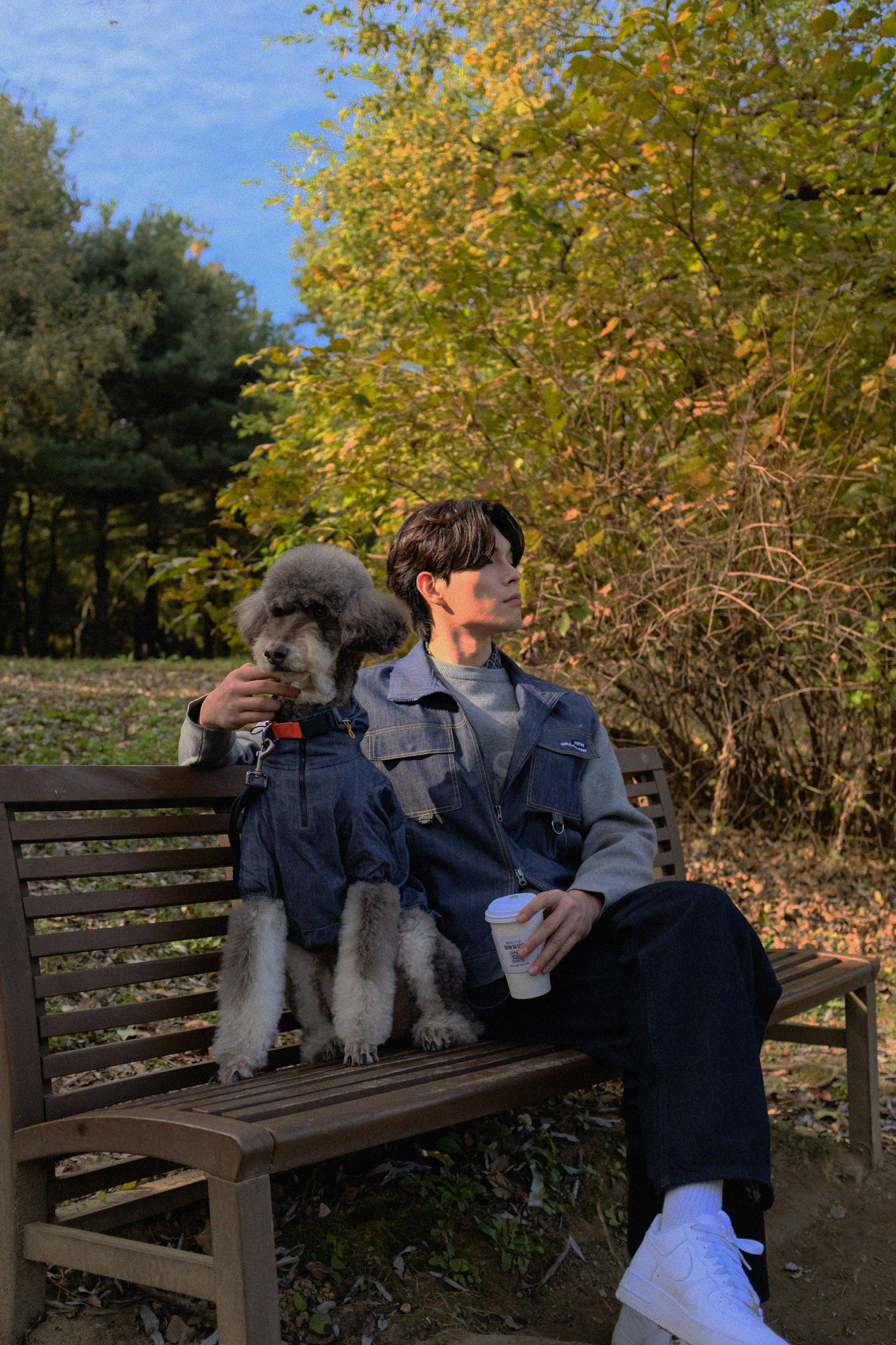 하이파이브 X 왈라랜드