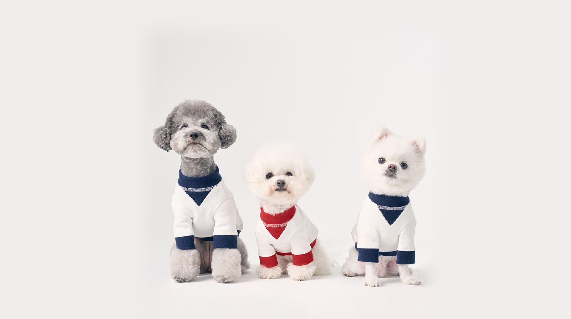 하이파이브 X 왈라랜드