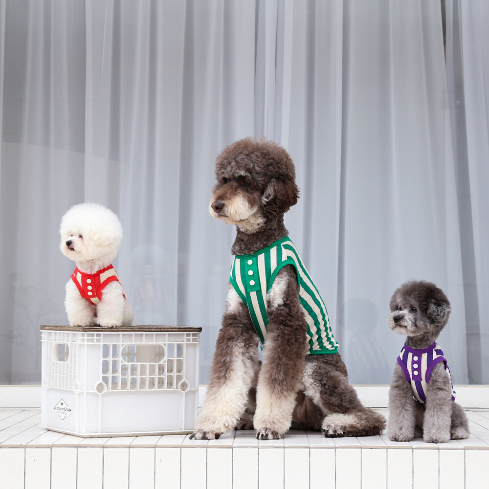 강아지 이미지3