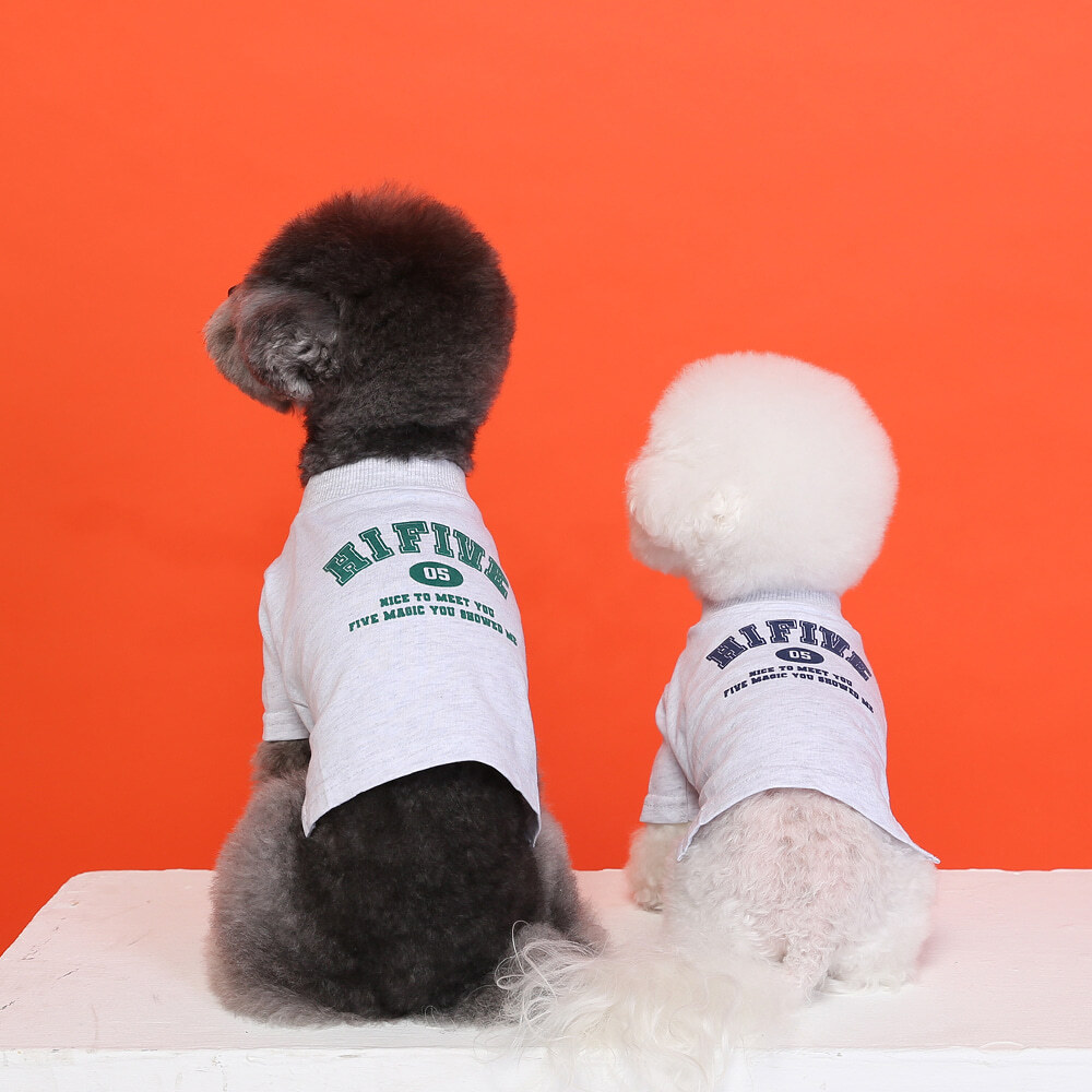 강아지 이미지1