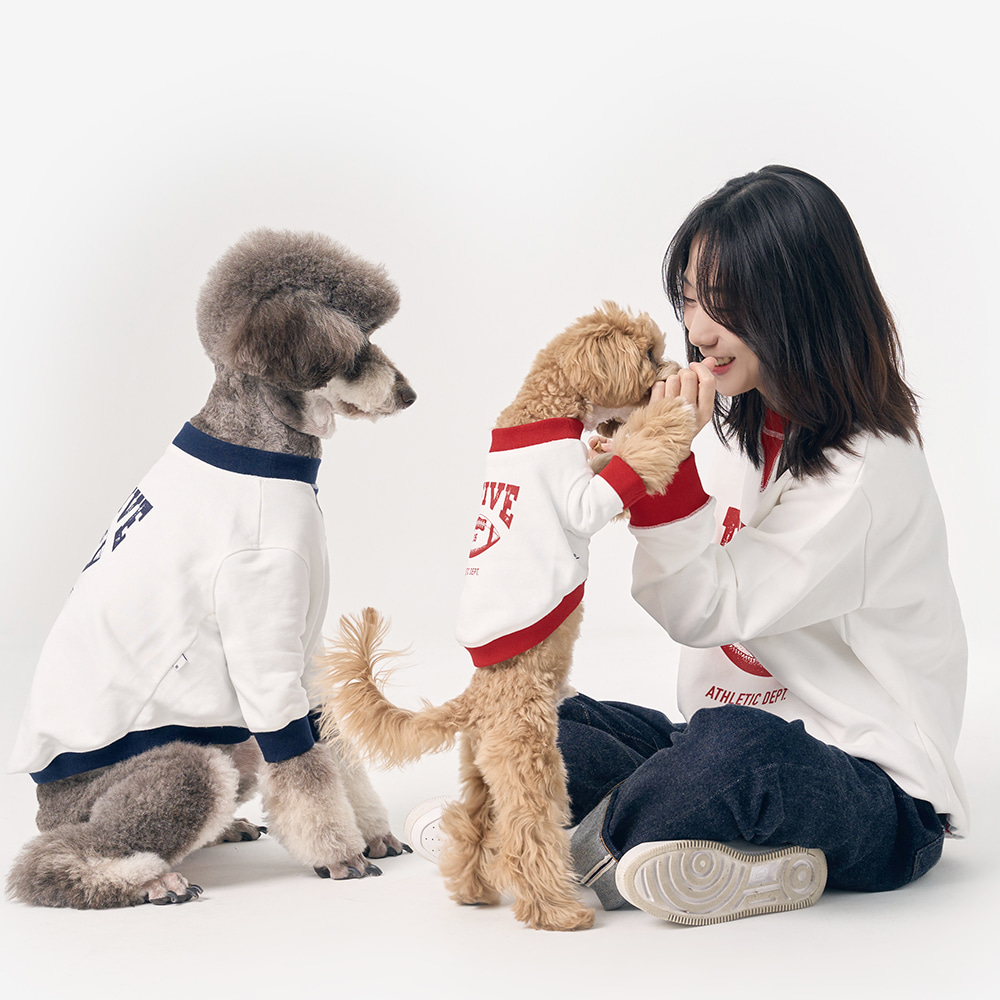 강아지와 함께 하이파이브