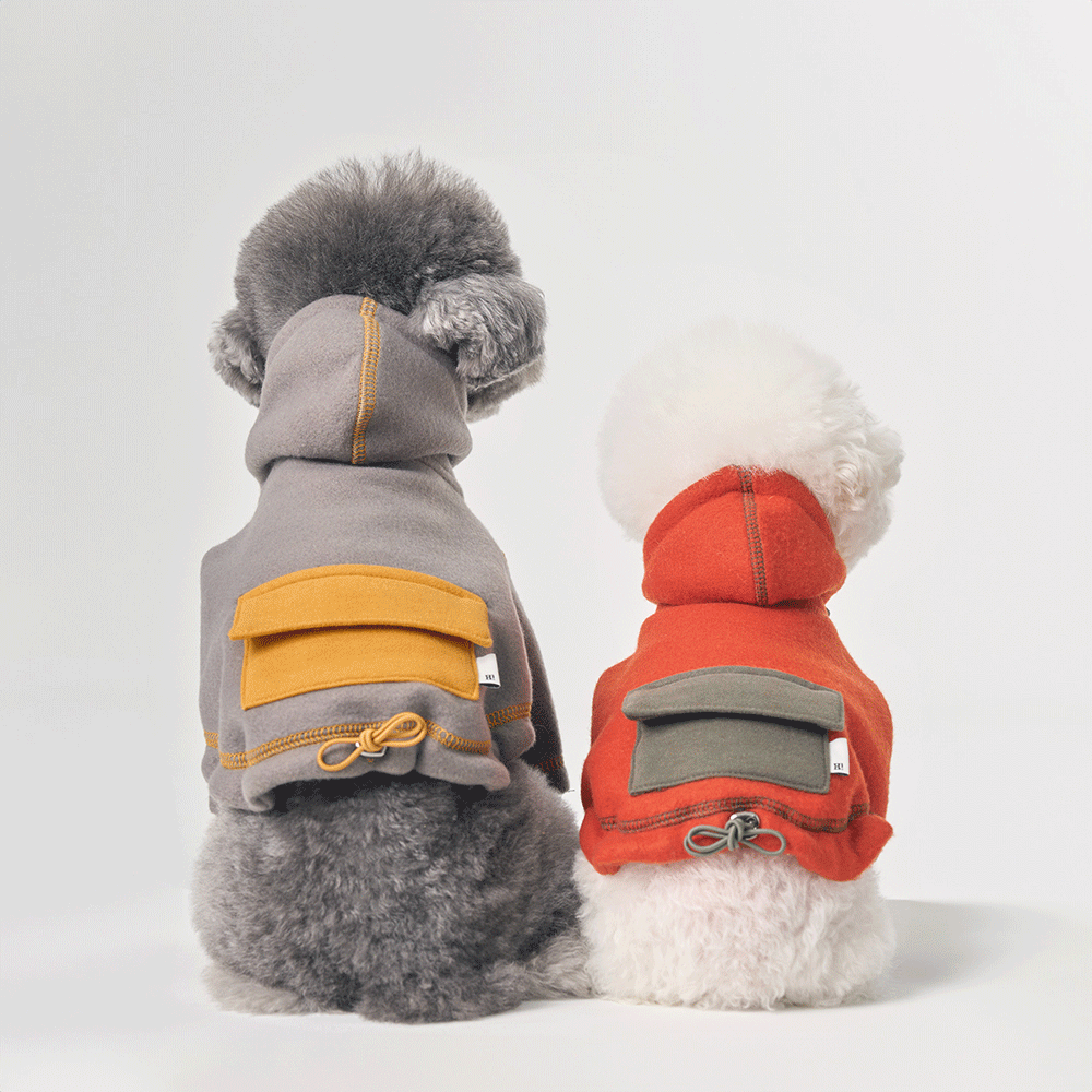 강아지와 함께 하이파이브 서브이미지1