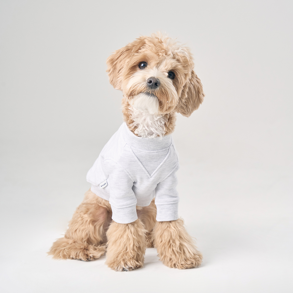 강아지와 함께 하이파이브 서브이미지2